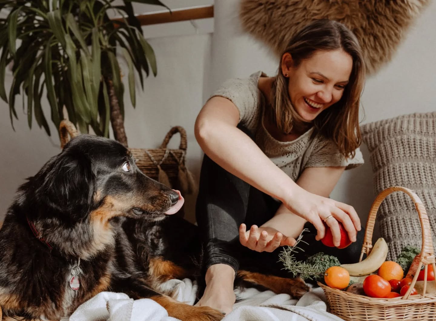 Echte Gesundheit beginnt bei den kleinen Dingen: frische, bunte Lebensmittel, Freude am Zubereiten – und ein neugieriger Vierbeiner, der hofft, dass doch mal was runterfällt.
Ganzheitliche Ernährung heißt für mich Verbindung - zur Natur, zum eigenen Körper und zu denen, die uns begleiten.
Gesund leben darf leicht sein.

Danke @lifi.fotografie für das schöne Foto. 

#ganzheitlichgesund #natürlichleben #ganzheitlicheernährungsberatung #ernährungmitfreude #hund #alltagsgesundheit #tierliebe
